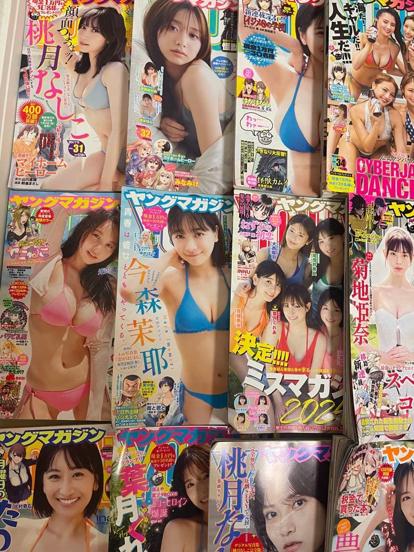 ヤングマガジン2024 下半期全巻セット