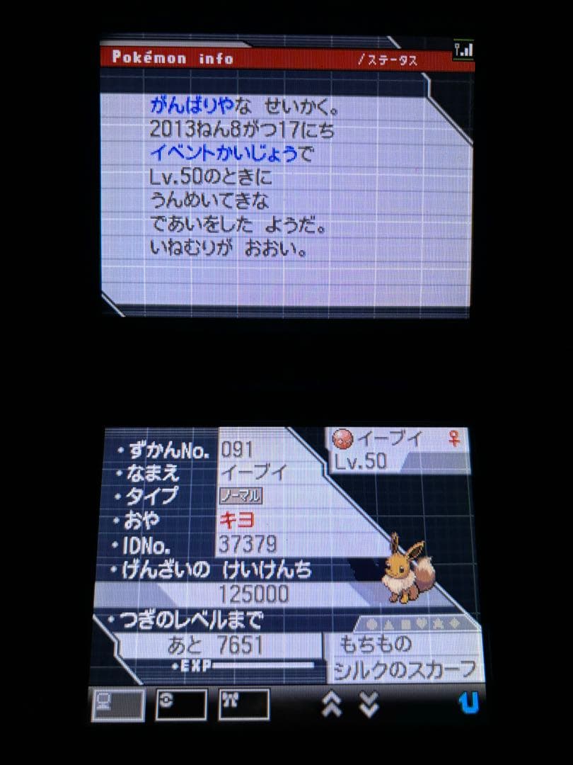ポケットモンスターホワイト2 DS ゲームソフト　動作確認済み