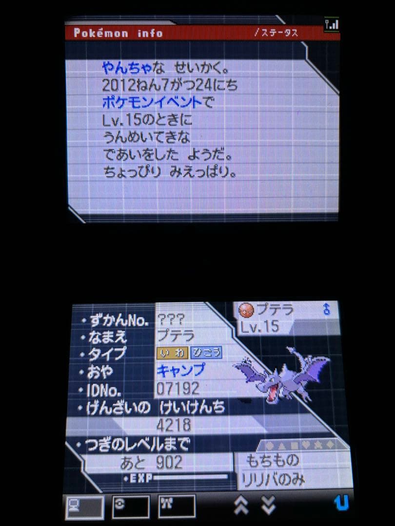 ポケットモンスターホワイト2 DS ゲームソフト　動作確認済み
