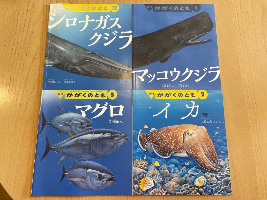 美品！ポスター付き　かがくのとも　うみのいきもの7冊　追加イワシなど４冊