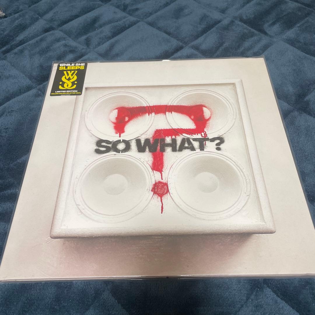 while she sleeps LPレコード 2種セット