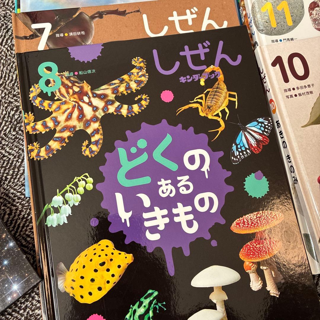 《未使用 美品》キンダーブックしぜん 12巻セット　2024年度