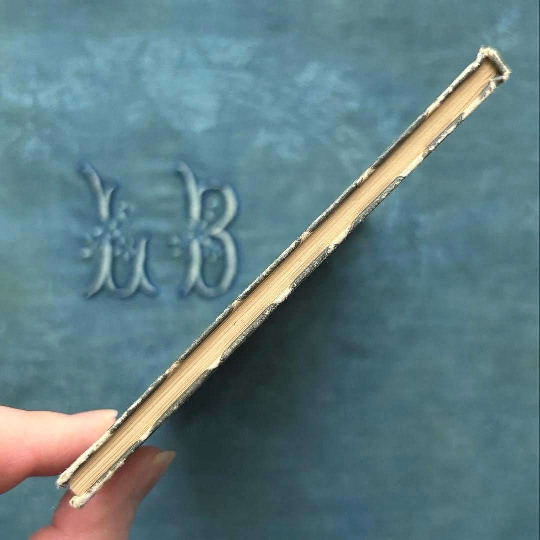 ヴィンテージ ドイツ洋書☘️インゼル文庫 54番 美しい鉱物