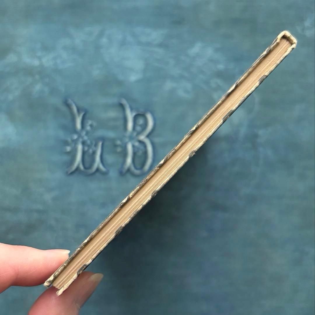 ヴィンテージ ドイツ洋書☘️インゼル文庫 54番 美しい鉱物