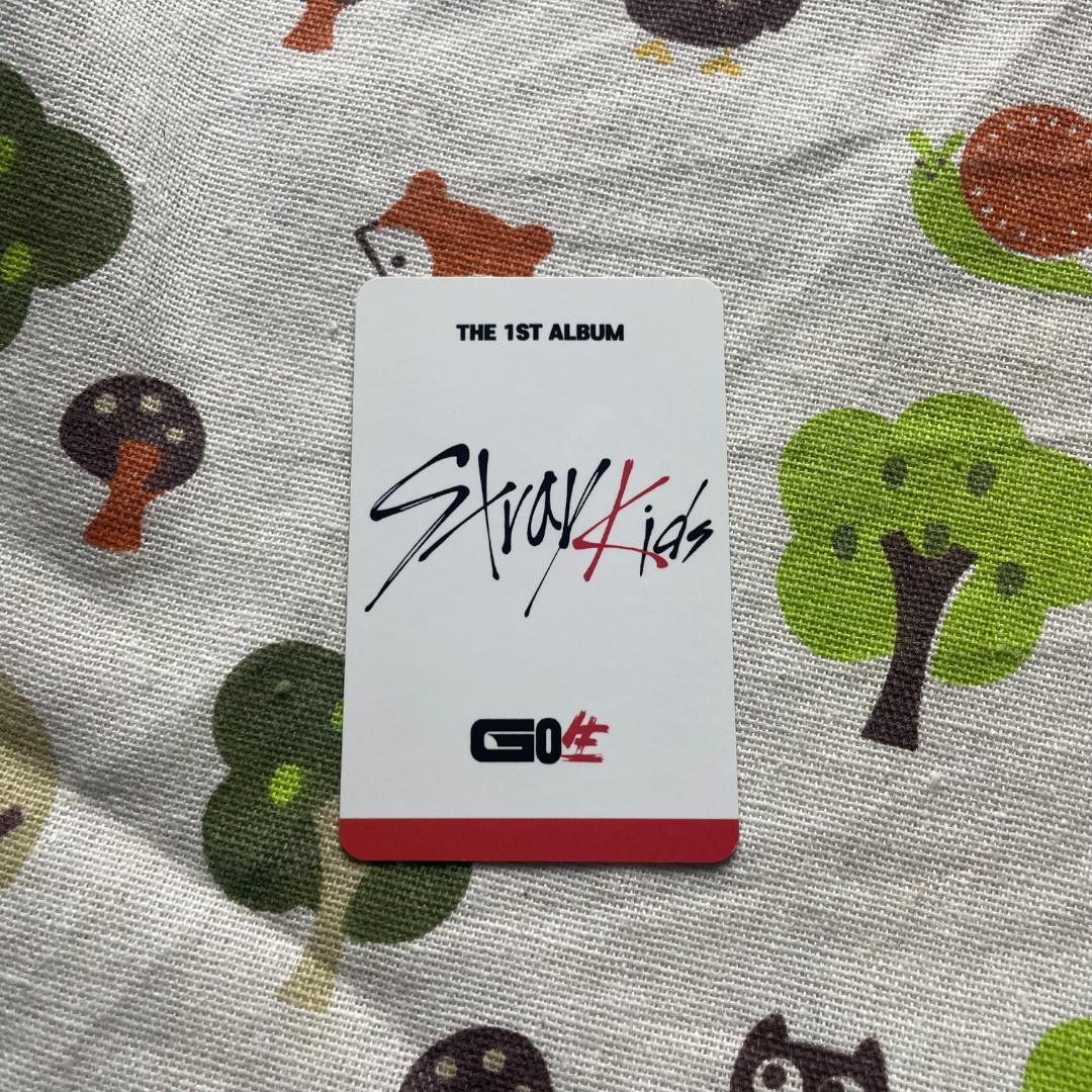 StrayKids GO生 フォトカード トレカ SUBK バンチャン