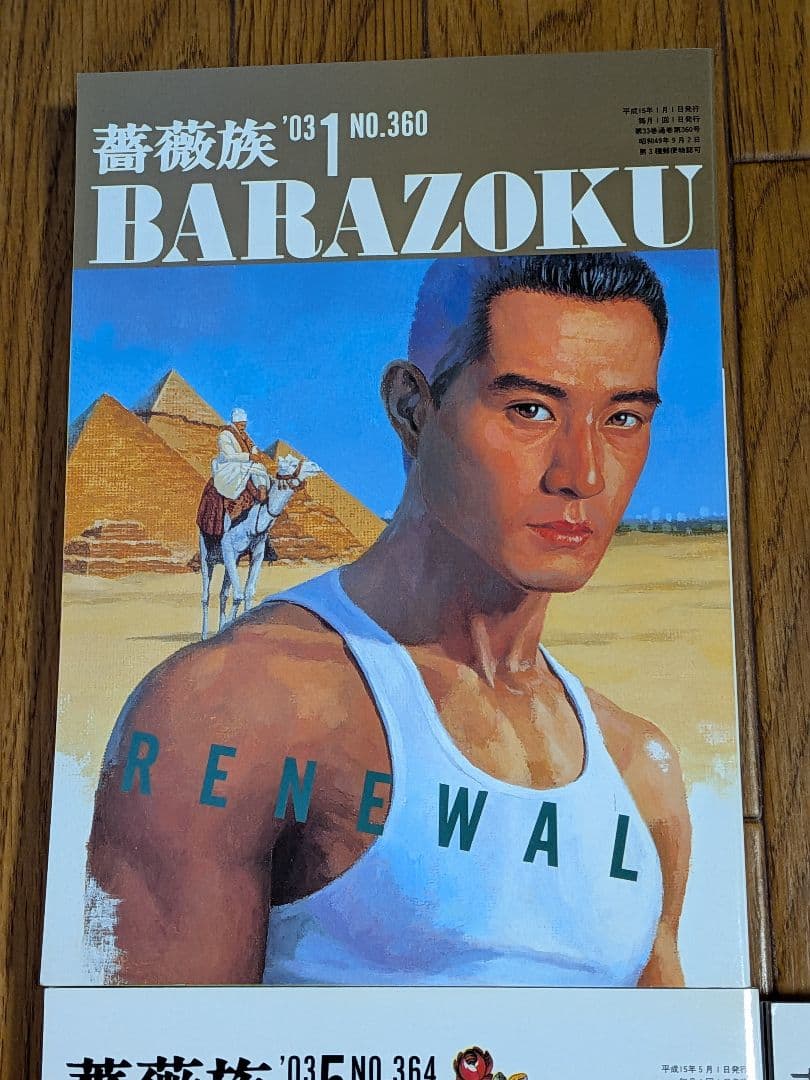薔薇族2003年 11冊セット