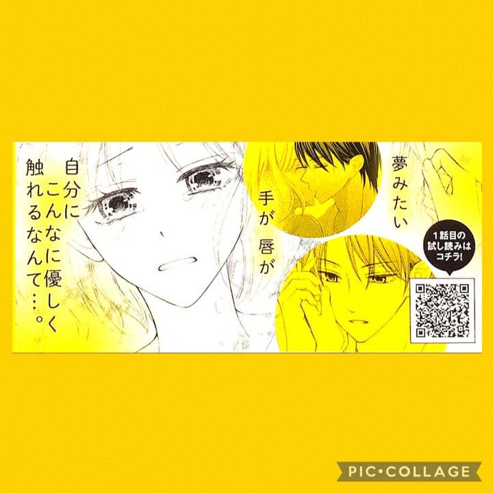 コミック 17冊 まとめ売り 少女漫画 兄に愛されすぎて他