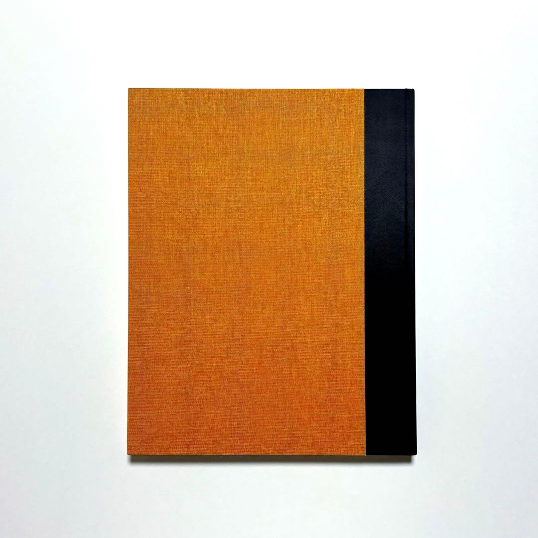 【 新品 】 KLIMT AND SCHIELE DRAWINGS