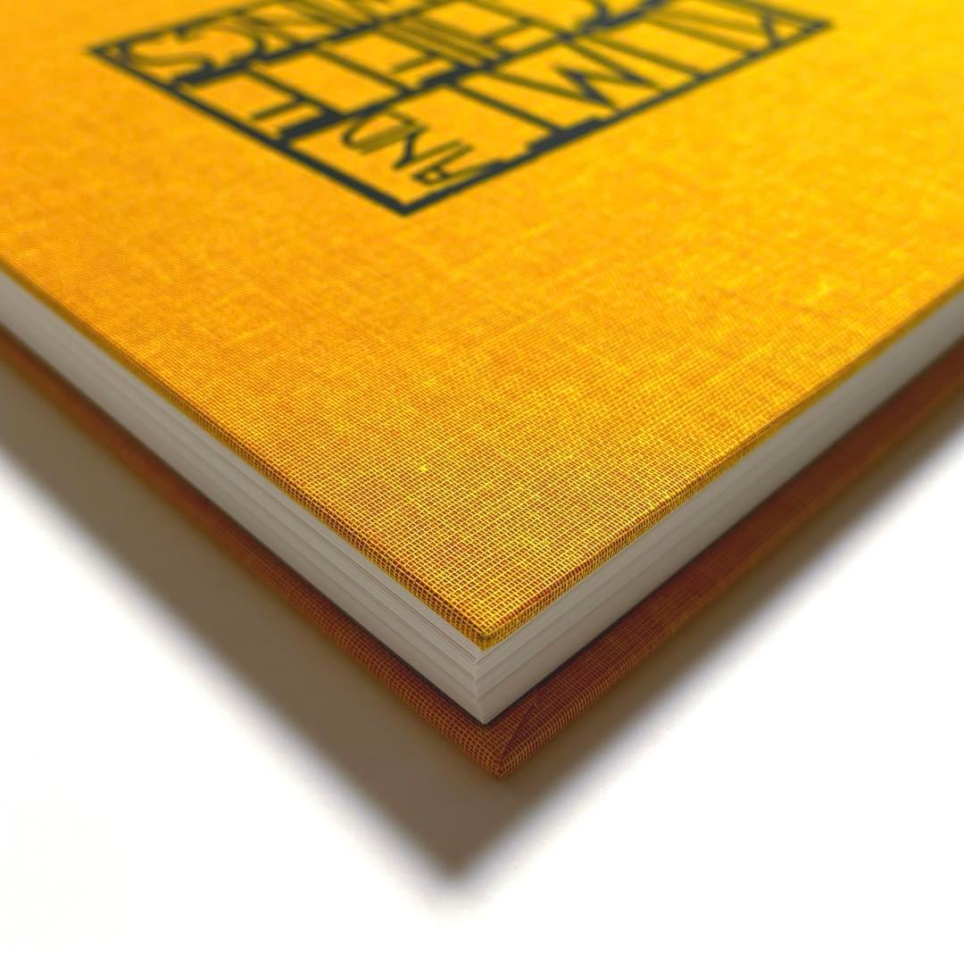 【 新品 】 KLIMT AND SCHIELE DRAWINGS