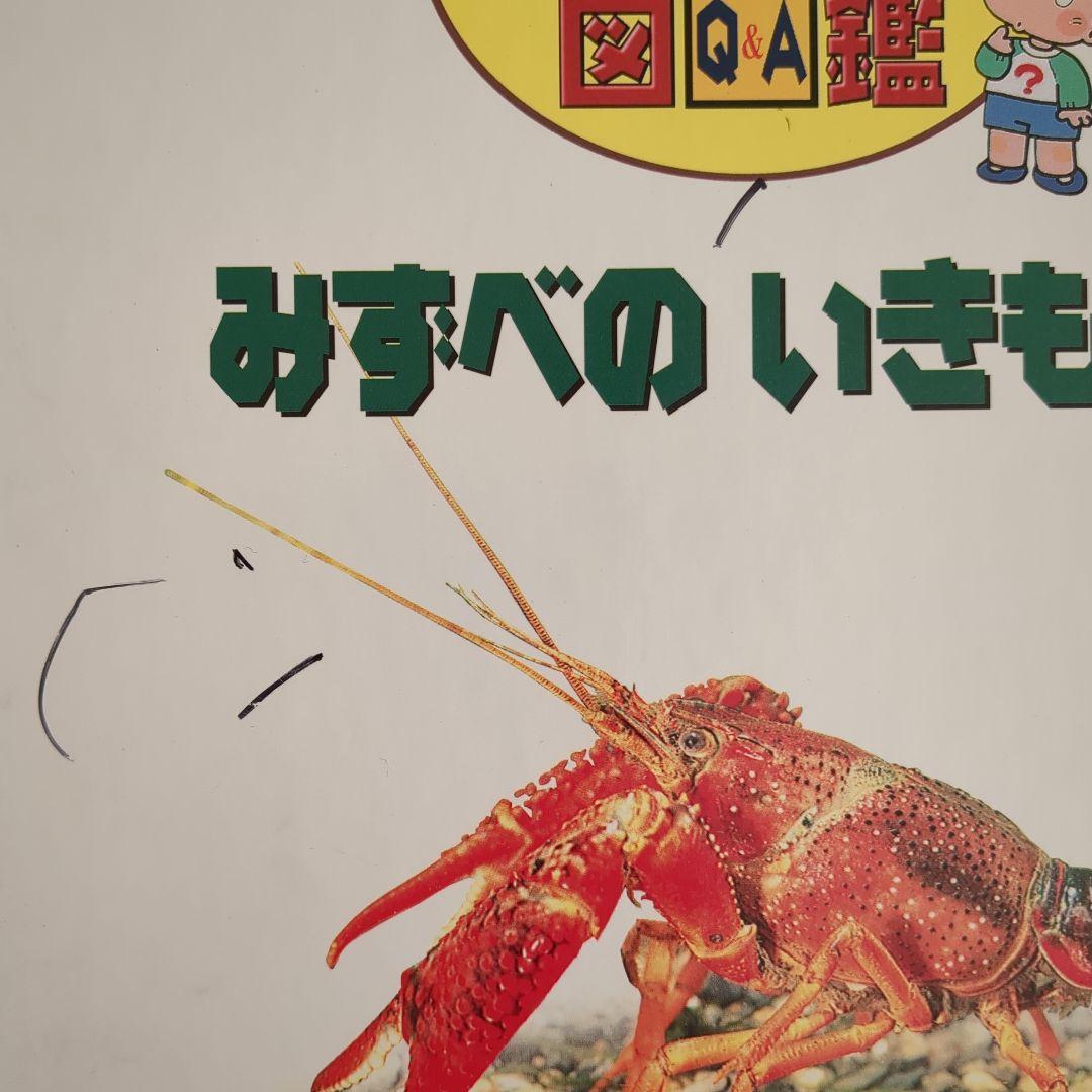 図鑑　なぜなぜベスト図鑑 全20巻　児童書　絵本