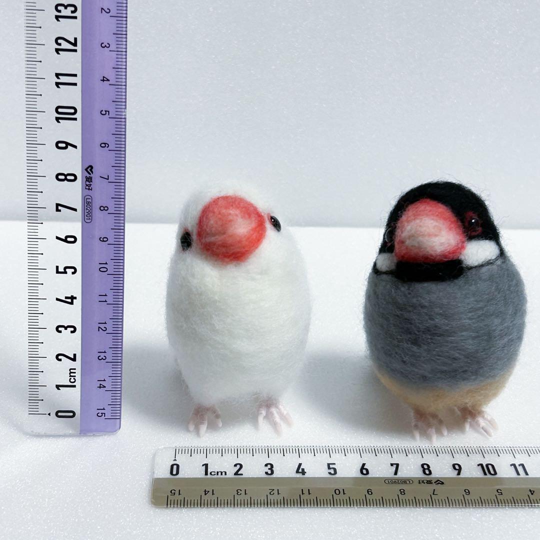 user_6cd345d3様　ブルーボタンインコ　コザクラインコ　桜文鳥　白文鳥