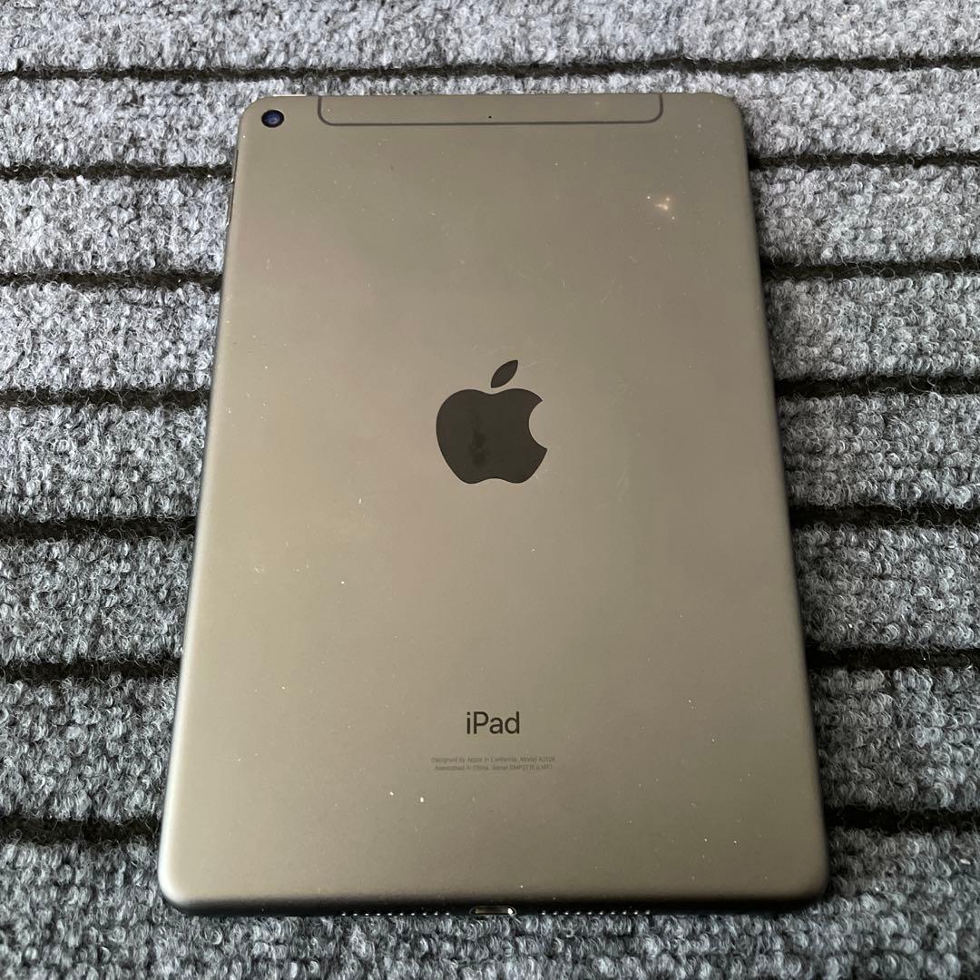 171 【早い者勝ち】 iPad mini5 5世代 64GB スペースグレイ