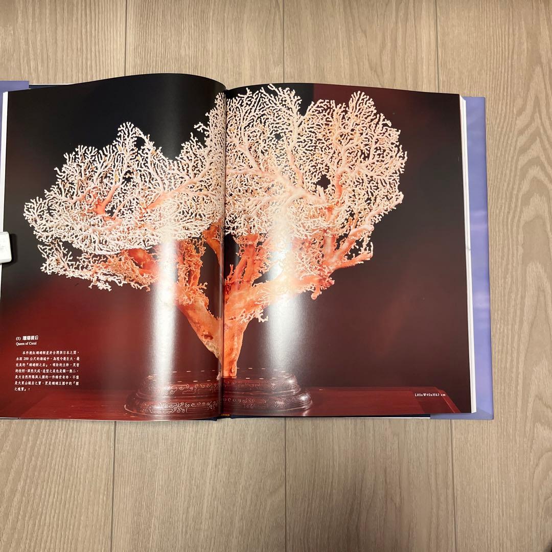 中国國寶珊瑚 Chinese Treasure-Coral of Luxor’s