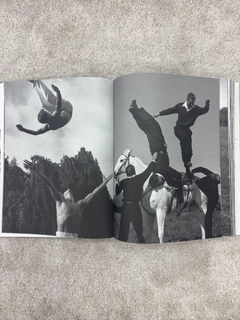 洋書 BLOOD SWEAT AND TEARS / BRUCE WEBER