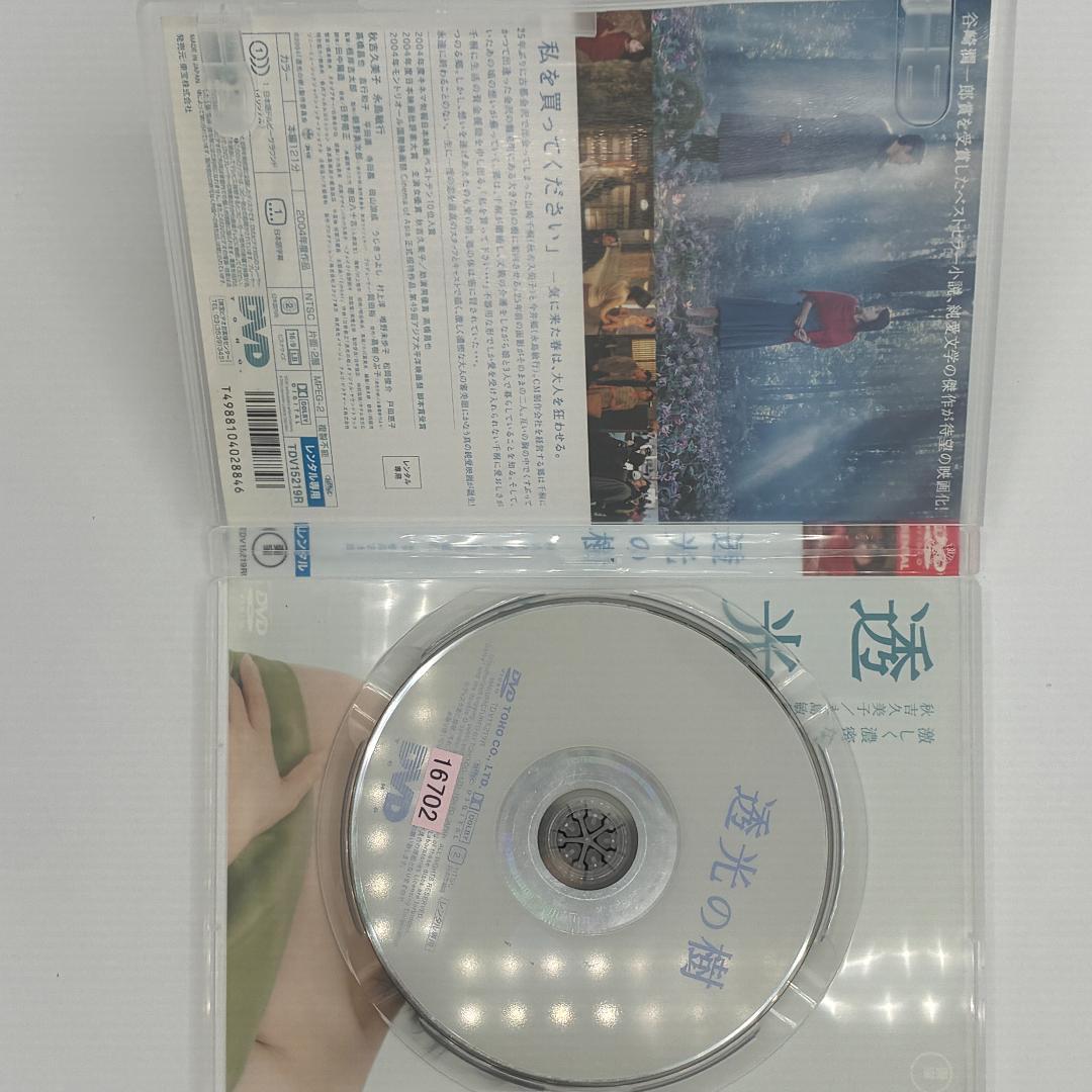 透光の樹