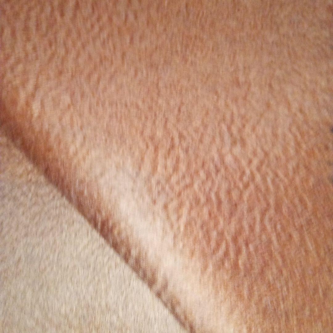 Vicuna Cashmere　　ビキューナカシミアストール