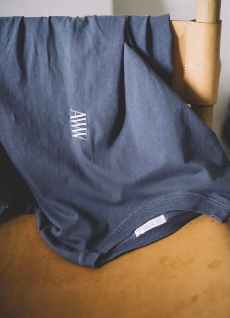 aww magazineブルーベリーTシャツ ALL WE WANT