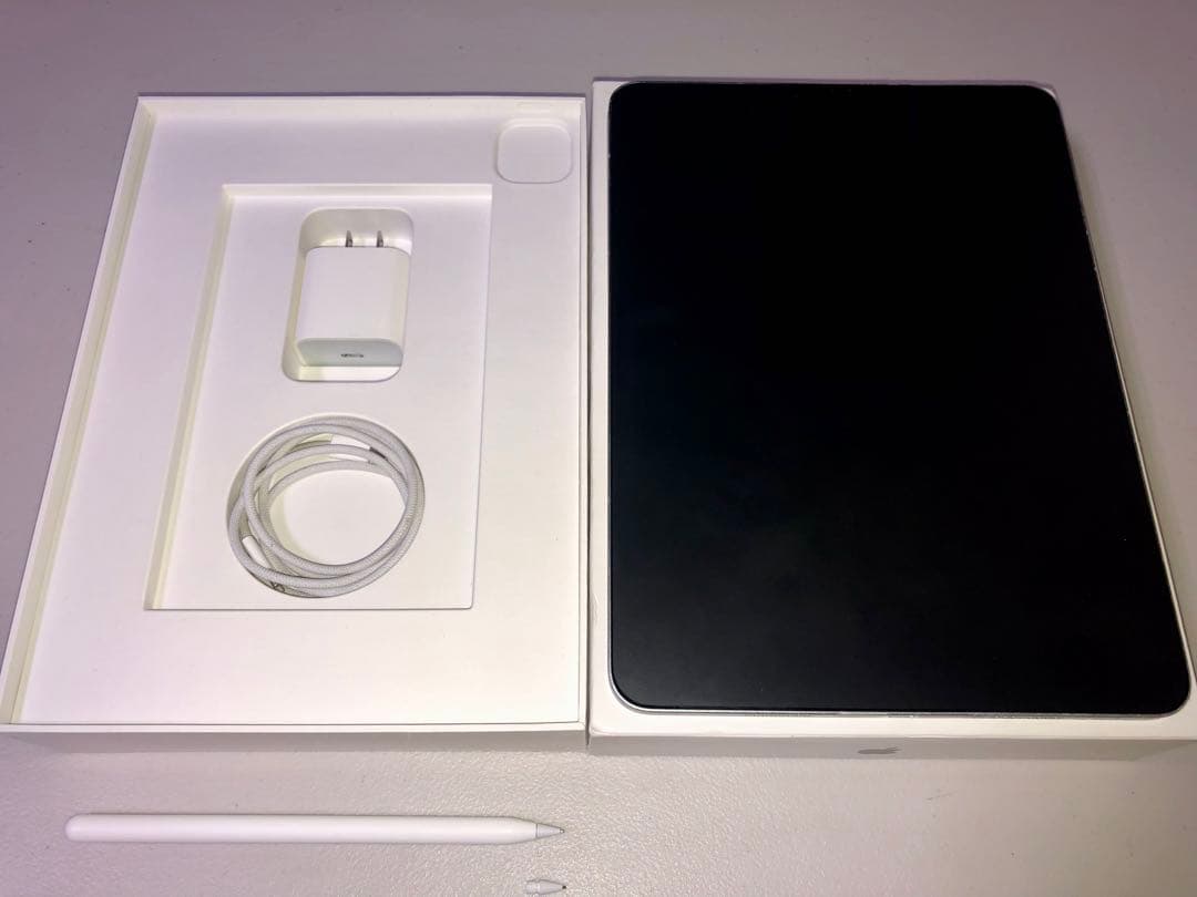 R*e様 iPad Pro 11 M2 第4世代　クリップスタジオ　液タブ　ペン