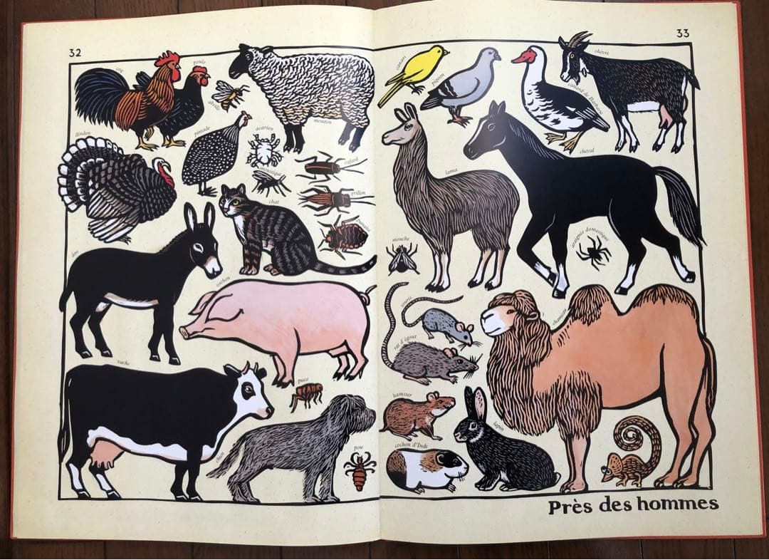 絵本　フランス語版　Zoo logique