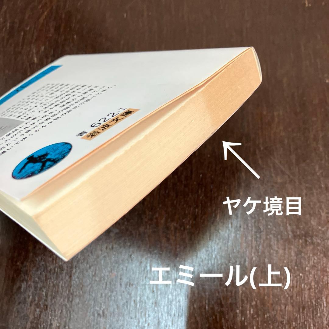 岩波文庫　25冊セット　まとめ売り 　赤帯　青帯　白帯