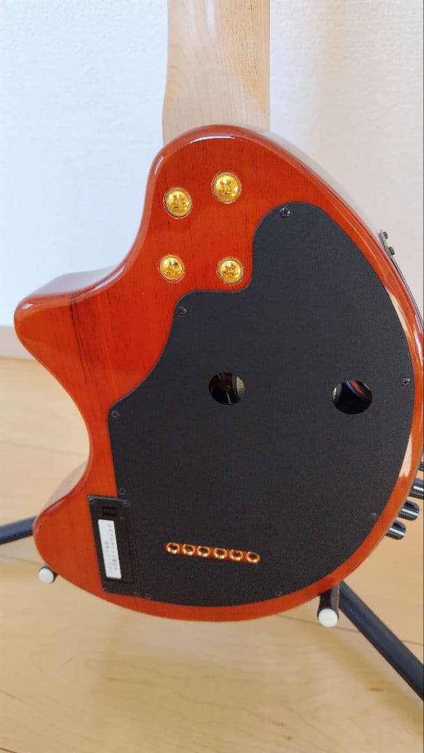 ギター FERNANDES DIGI-ZO HYPER