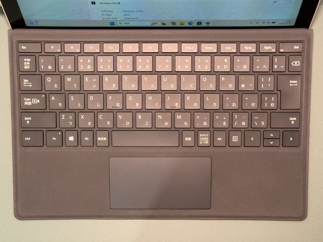 Surface Pro 4 16GB 256GB Win11 ※画面揺れあり