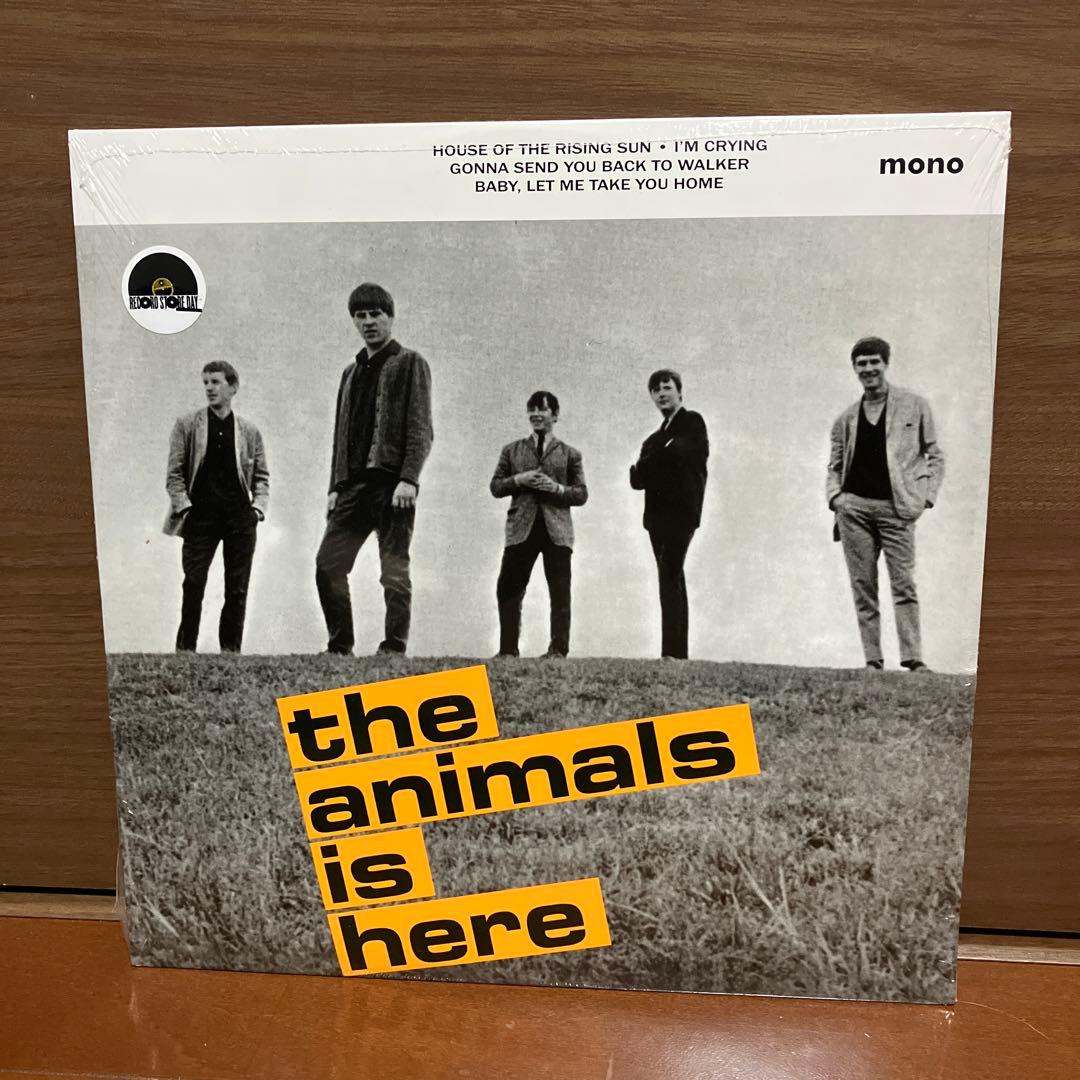 ANIMALS アニマルズ