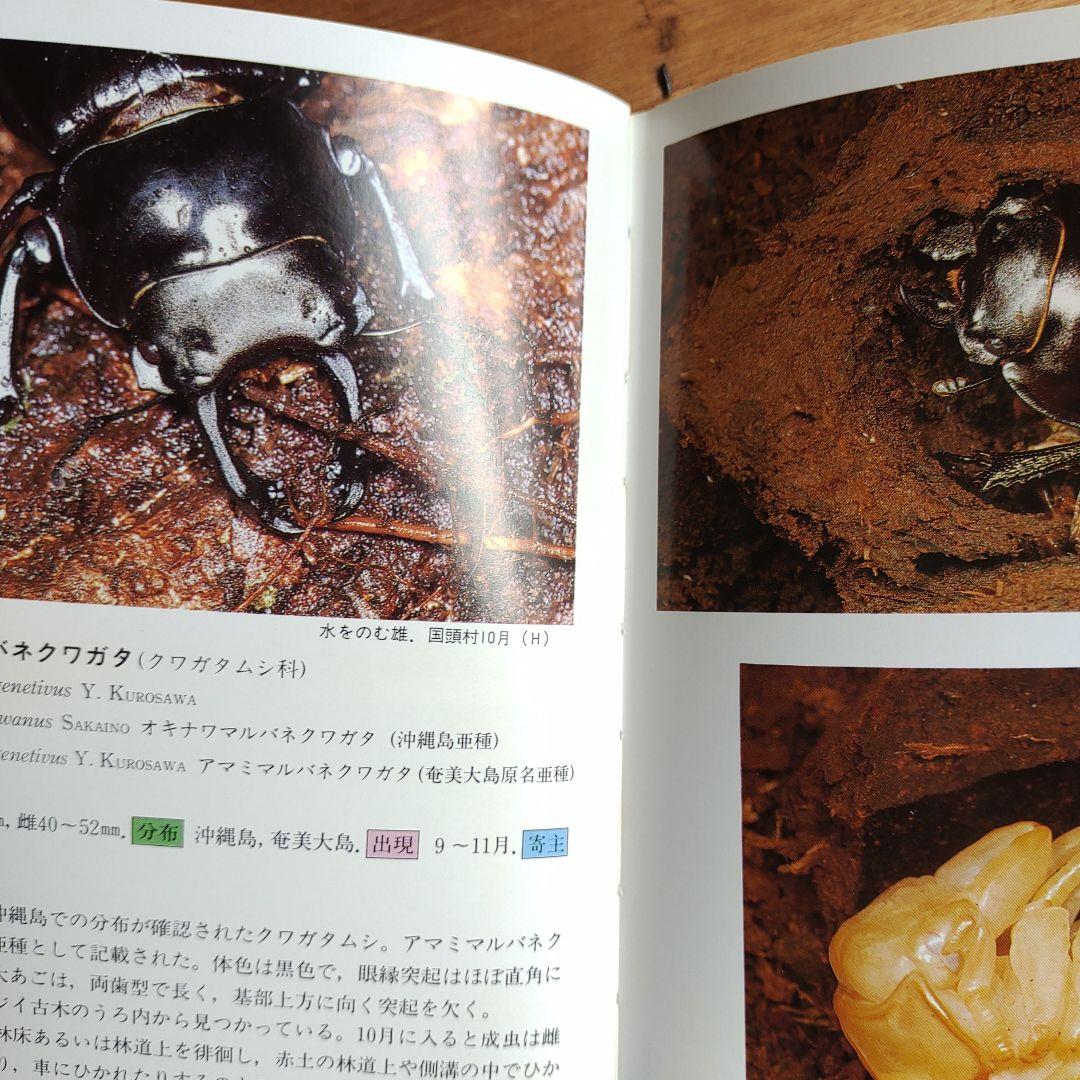 沖縄昆虫野外観察図鑑 全4巻