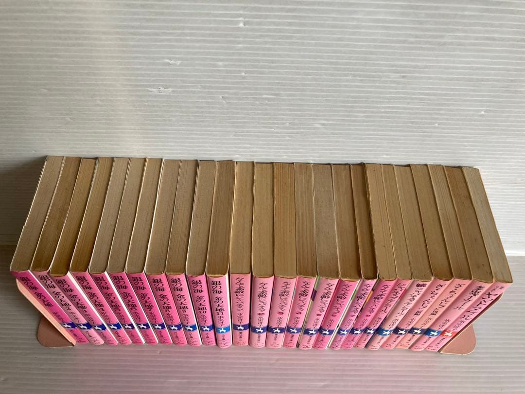 氷室冴子 銀の海 金の大地 なんて素敵にジャパネスク 他 全25冊　小説　文庫