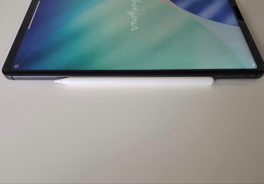 【美品】iPad Pro12.9第5世代セルラー+ApplePenci
