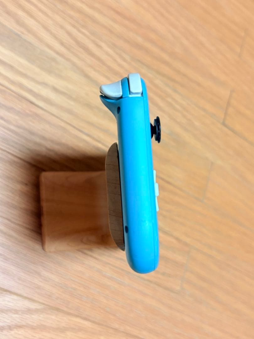 Nintendo Switch Lite 本体 のみ　2台セット