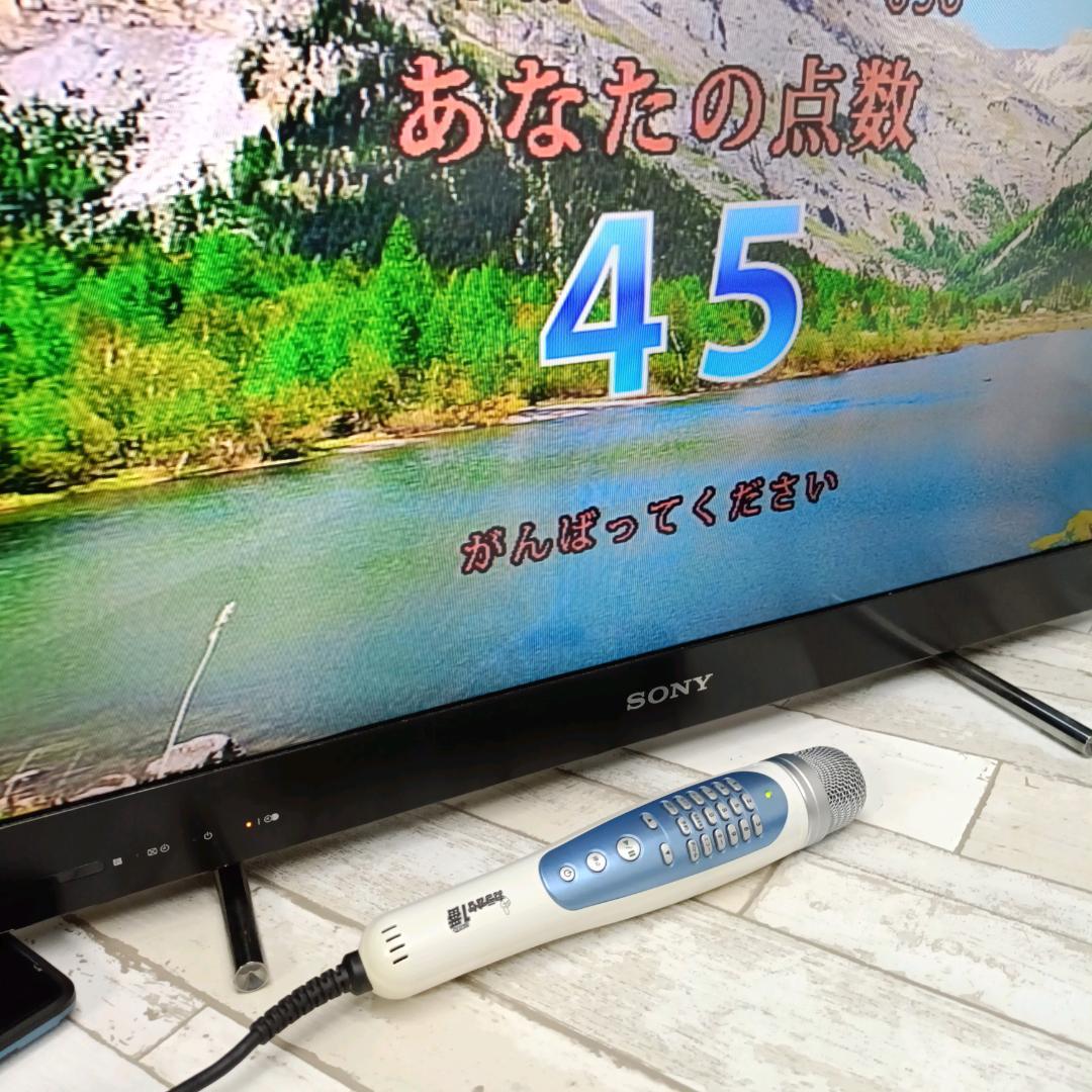家庭用 カラオケ一番 YK-3008 サブマイク 夢グループ 300曲