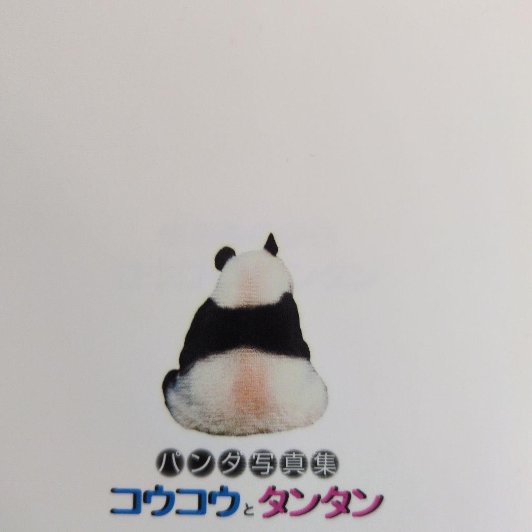 王子動物園　コウコウとタンタン パンダ写真集