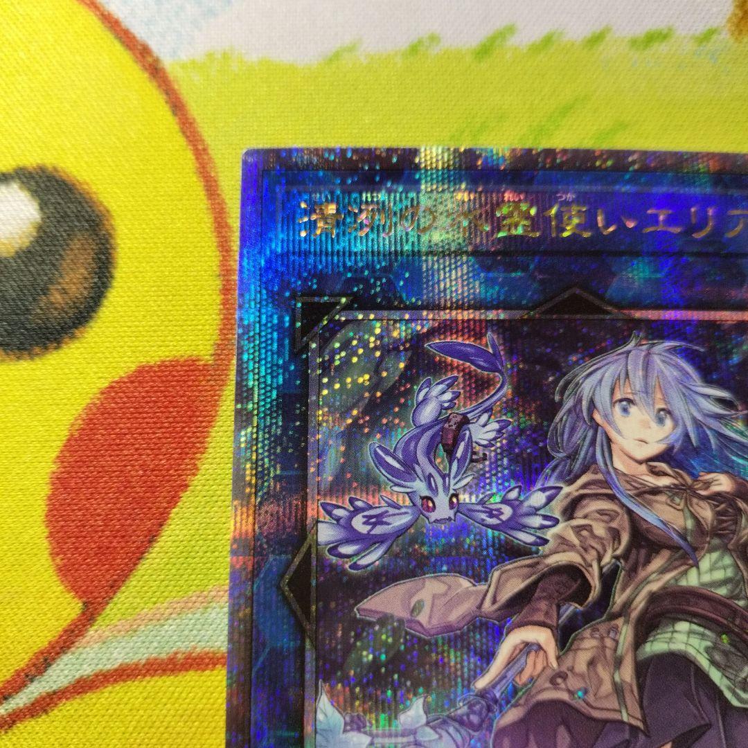 ②遊戯王　清冽の水霊使いエリア　25thシークレット　クオシク　QCCP