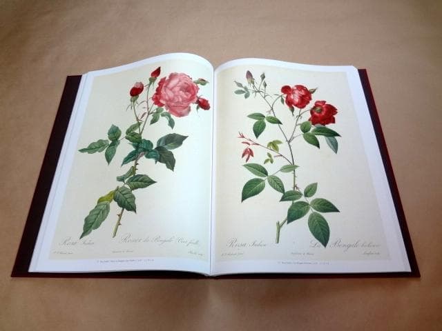 ★ 「Les Roses バラ図譜」 豪華愛蔵版 ピエール=ジョゼフ・ルドゥーテ