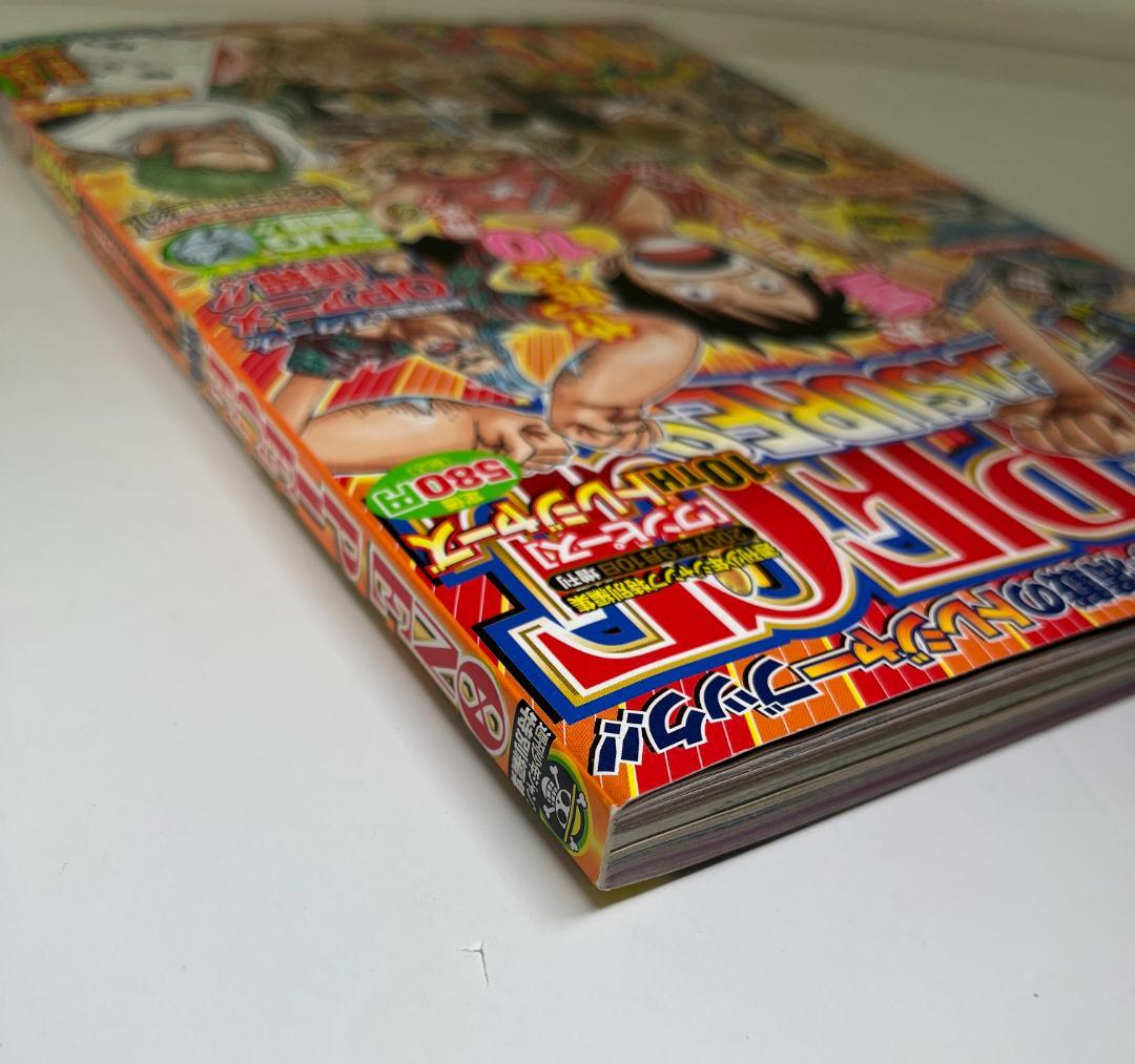 【付録未開封】ONE PIECE 10th TREASURES 10周年 美品