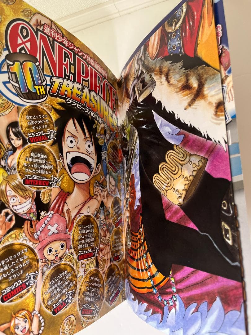 【付録未開封】ONE PIECE 10th TREASURES 10周年 美品