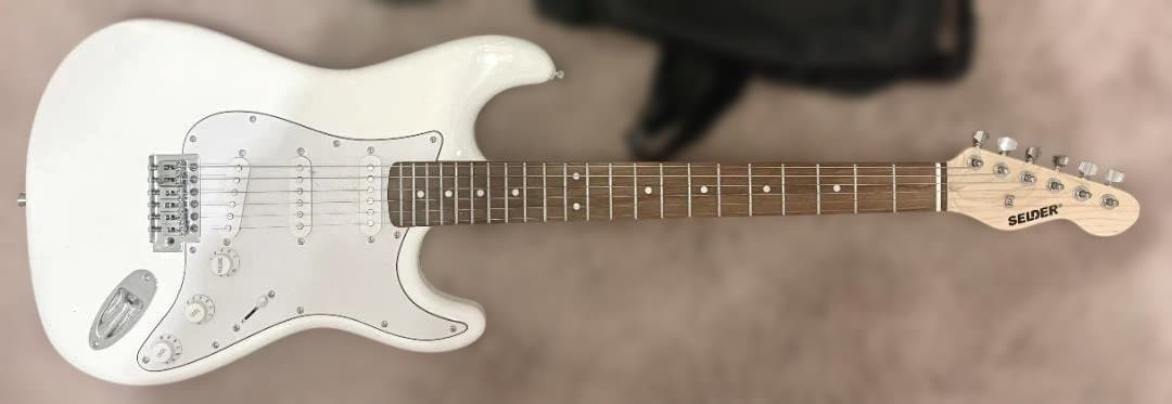 SELEDER エレキギター 初心者セット