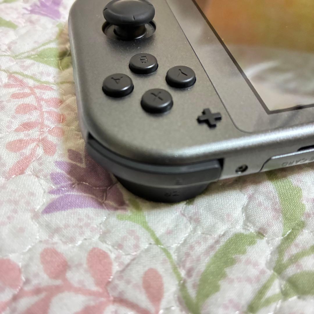 【美品・完品】NintendoSwitch Lite ディアルガ・パルキア　限定