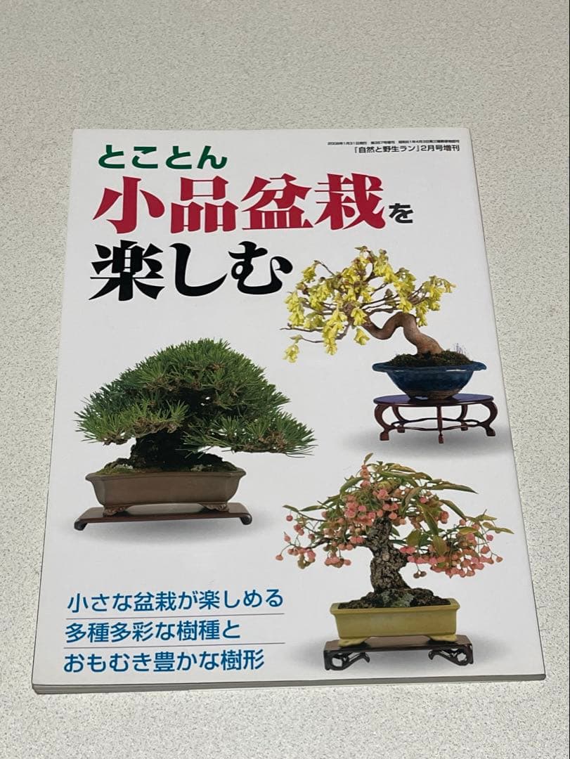 本　盆栽小鉢図鑑　小品盆栽を楽しむ