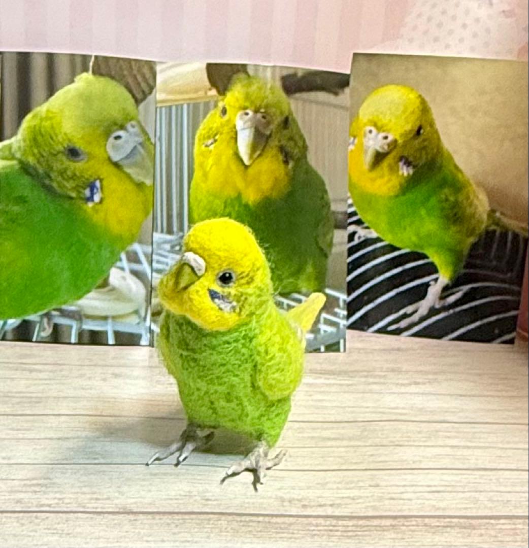 ピコページ　羊毛フェルト　ちょこっとリアル可愛い愛鳥オーダー品　鳥