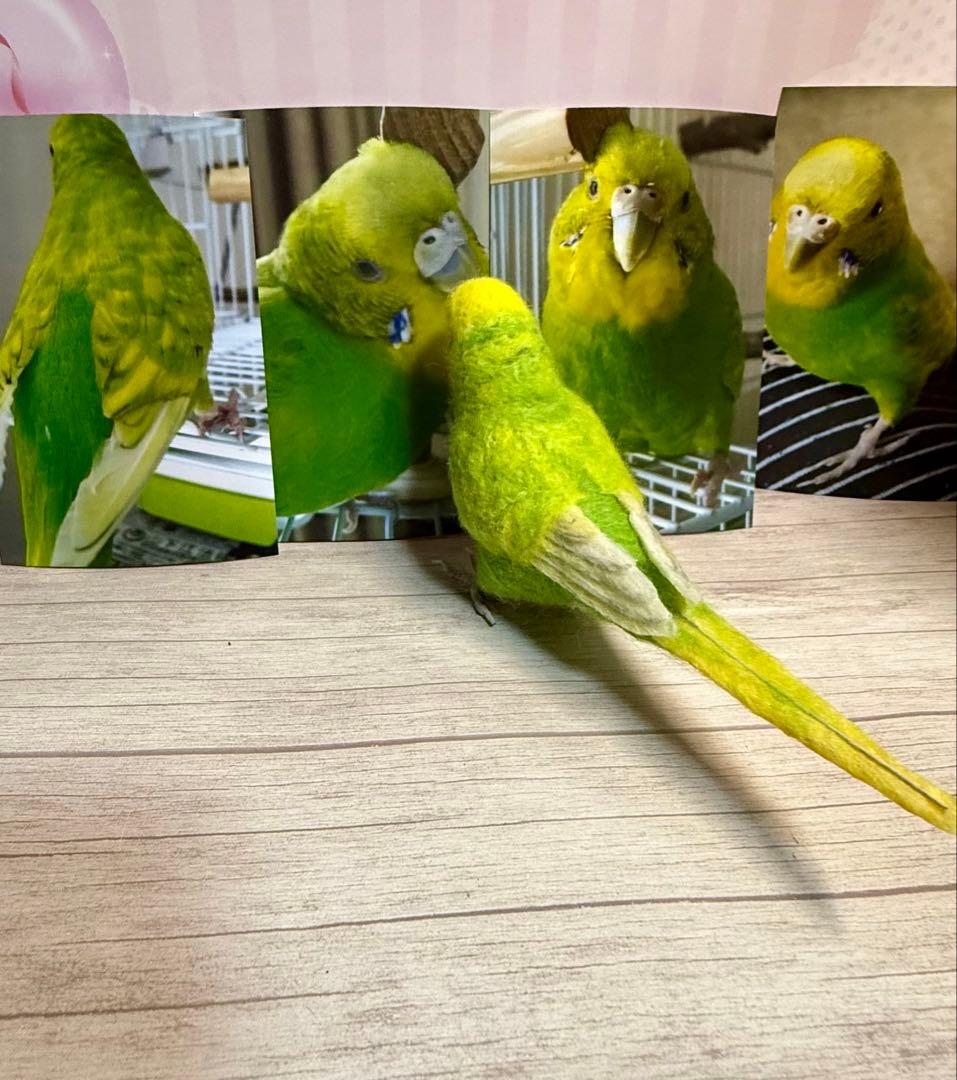 ピコページ　羊毛フェルト　ちょこっとリアル可愛い愛鳥オーダー品　鳥