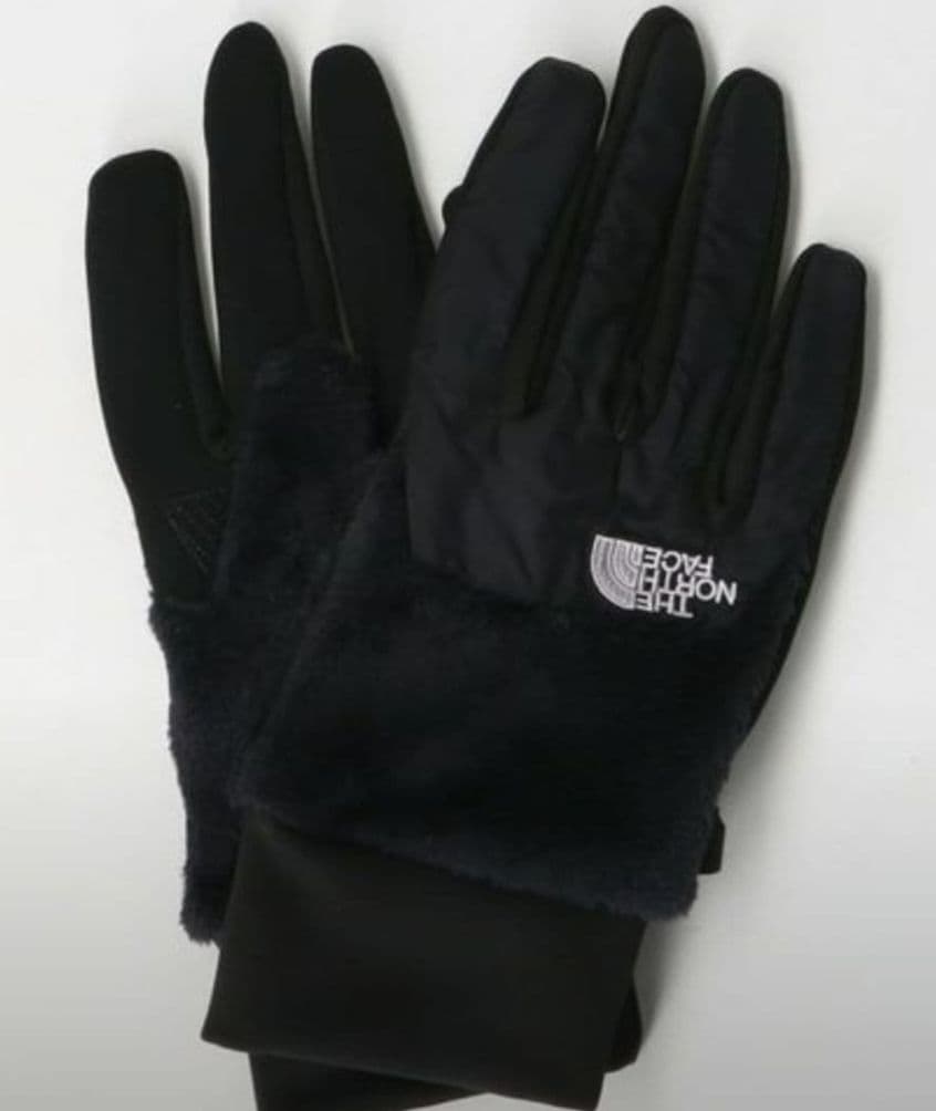 新品！＜THE NORTH FACE＞デナリ イーチップ グローブ ―