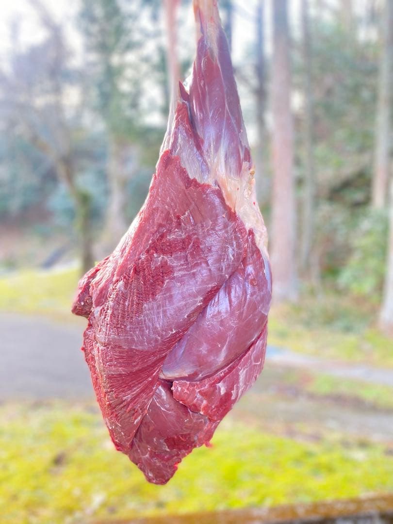 鹿肉 新鮮　冷凍真空パック　9キロ　送料無料