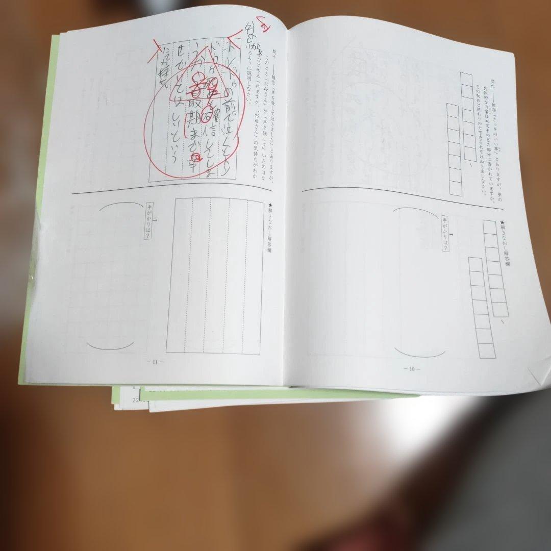 サピックス　SAPIX 小学5年1年分 国語 教材セット 欠番 なし　使用済み