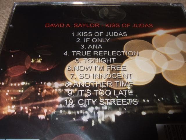 DAVID A SAYLOR,新品未開封,AOR,メロハー,AOR BLVD