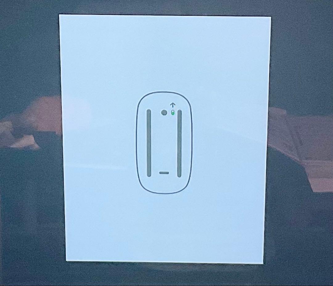 Mac mini(マックミニ) 500GB メモリ8GB Apple本体