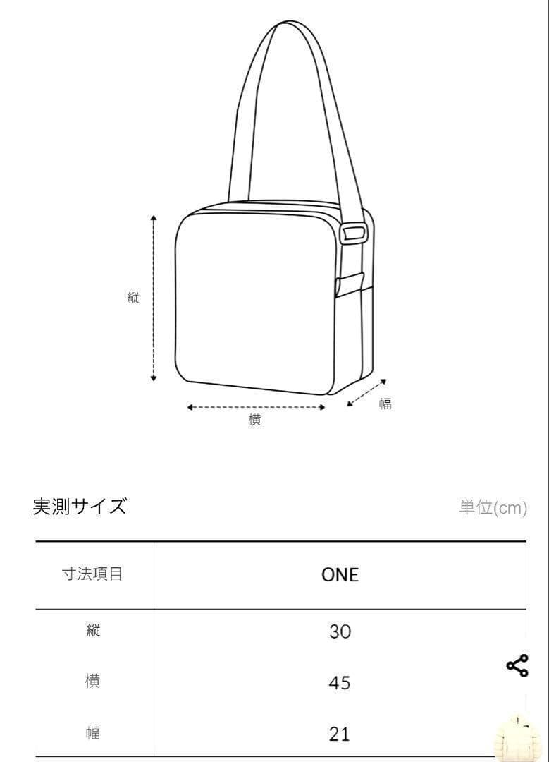 【韓国限定】新品 ノースフェイス ビックショットカーゴバッグ ボストン バッグ