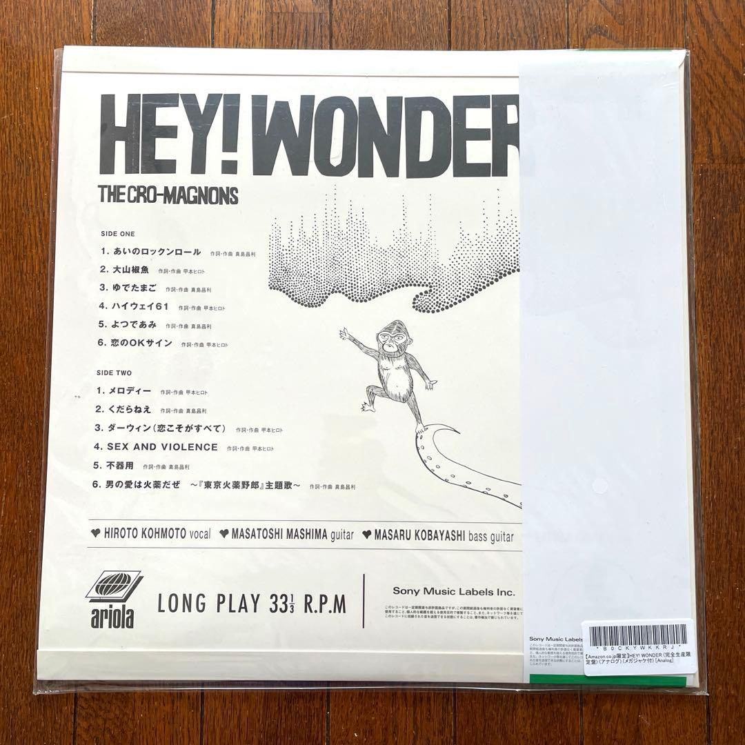 ザ・クロマニヨンズ HEY!WONDER アナログレコード