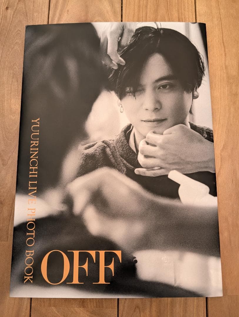 アート・デザイン・音楽 YUURINCH LIVE PHOTO BOOK